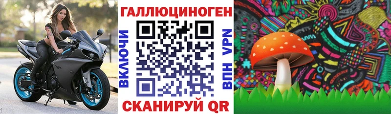 наркошоп  Макаров  Псилоцибиновые грибы Cubensis 